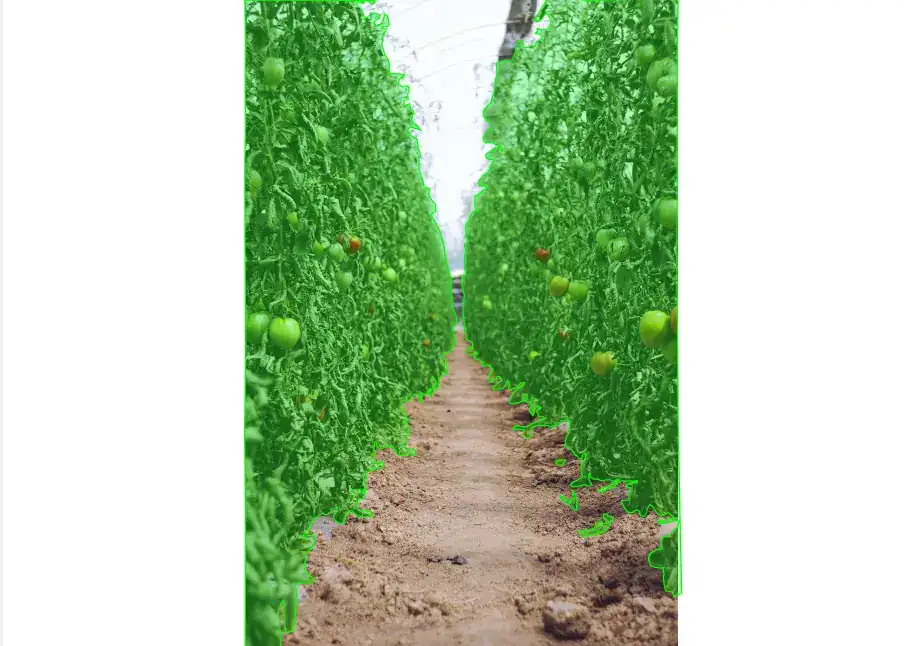 Annotated computer vision work sample